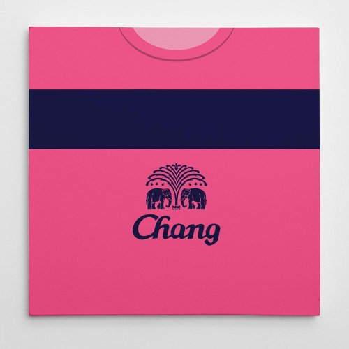 Everton 2010 Away Football Canvas Print