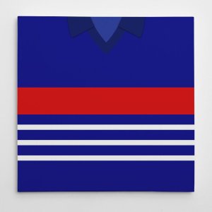 France 1984 Football Canvas Print