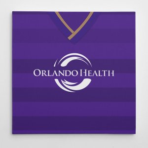 Orlando City 2015 Canvas Print Orlando City 2015 Canvas Print