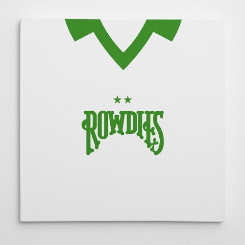 Tampa Bay Rowdies Football Canvas Print