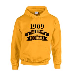 Borussia Dortmund Birth Of Football Hoody (yellow)