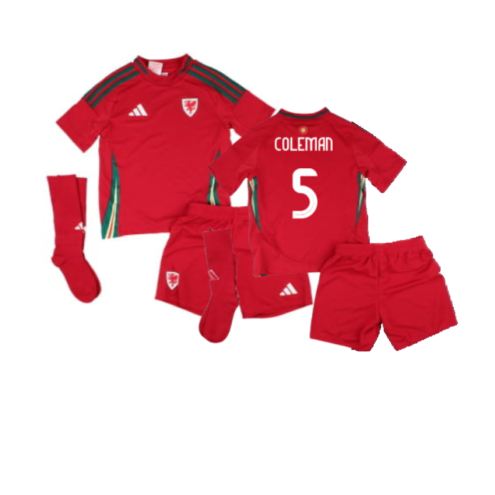 2024-2025 Wales Home Mini Kit (Coleman 5)