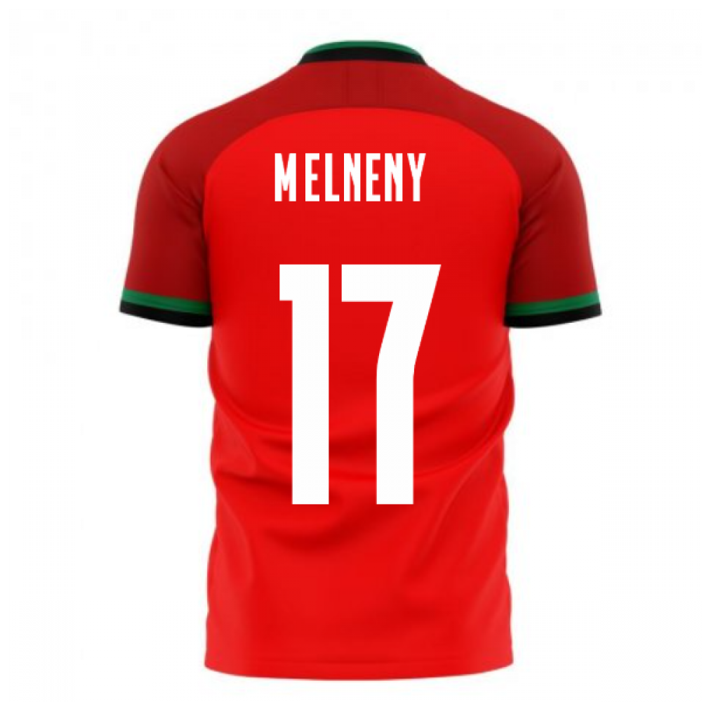 Egypt 2024-2025 Home Concept Football Kit (Libero) (M.ELNENY 17)